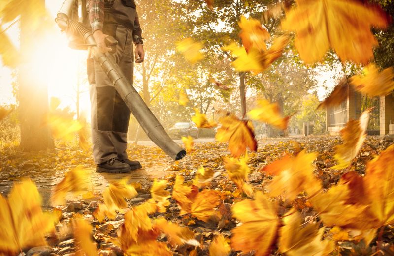 Leaf Blowing for Cleanliness