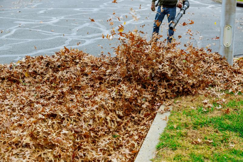 Leaves Being Disposed of Properly