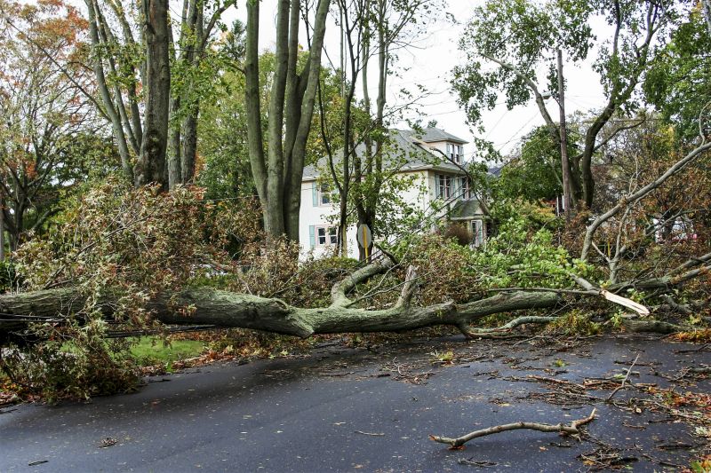 Storm Damage in Folsom