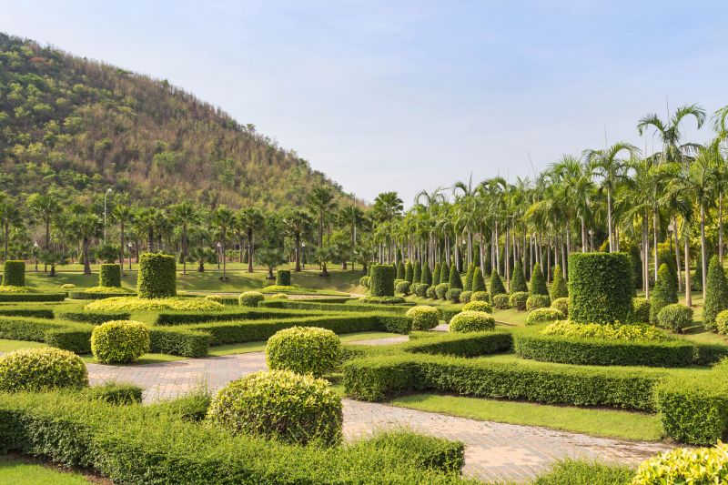 Finished Tree Trimming