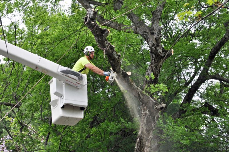 Tree Care Equipment